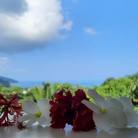 Cella Villa Anse a La Mouche Dış mekan fotoğraf