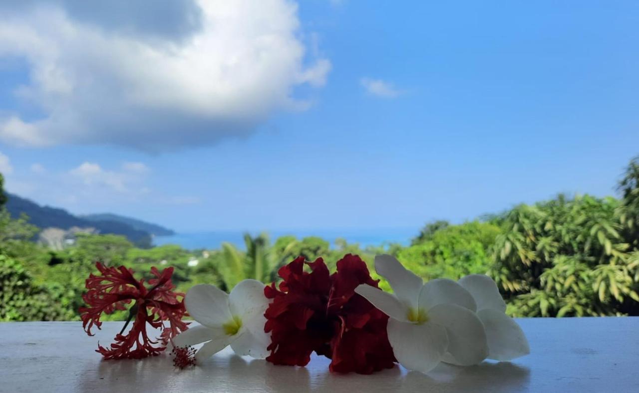 Cella Villa Anse a La Mouche Dış mekan fotoğraf