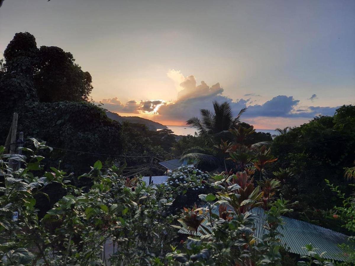 Cella Villa Anse a La Mouche Dış mekan fotoğraf